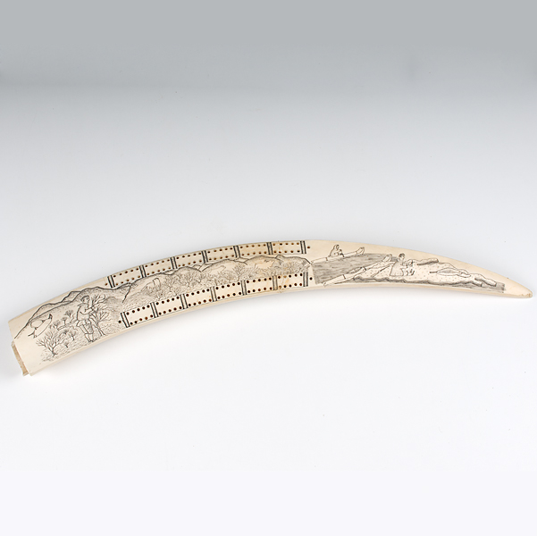 Eskimo Walrus Ivory Cribbage