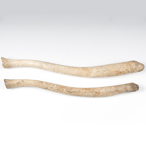 Eskimo Walrus Oosiks lot of 2