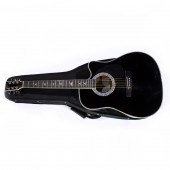 ESTEBAN ACOUSTIC GUITAR IN CAS