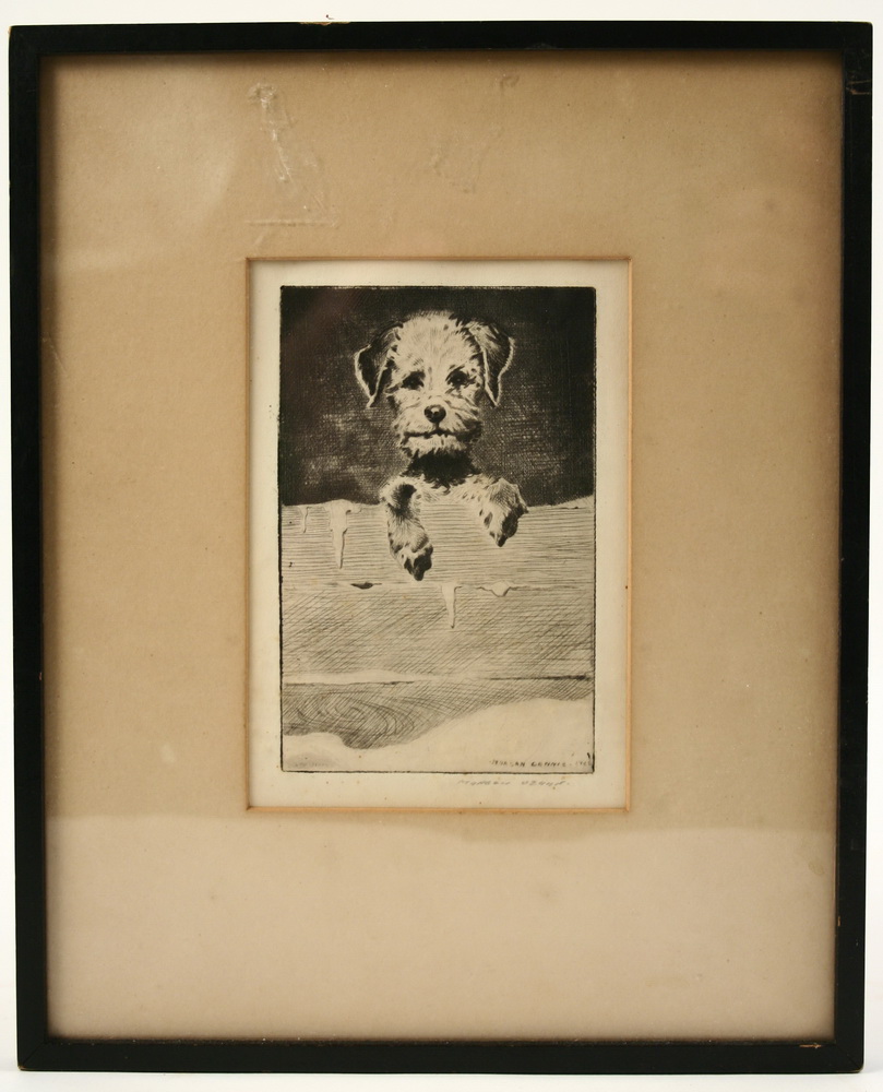 ETCHING - Portrait of Scottie Dog