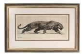 ETCHING - Striding Leopard by
