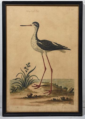 ETCHINGHand colored etching "The
