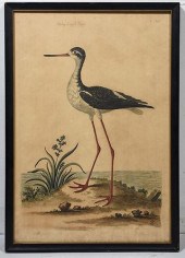 ETCHINGHand colored etching "T