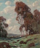 Eucalypti in a summer landscap