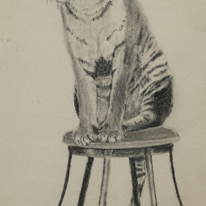 Eugenie Frederica Shonnard
