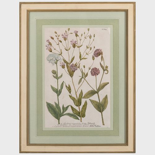 EUROPEAN SCHOOL: BOTANICALS: FIVE