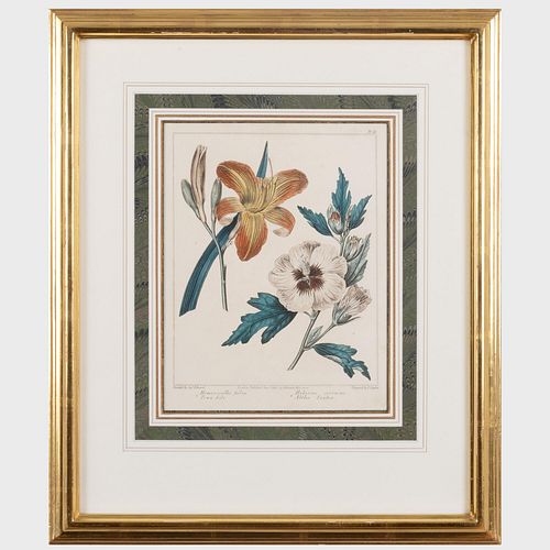EUROPEAN SCHOOL: BOTANICALS: