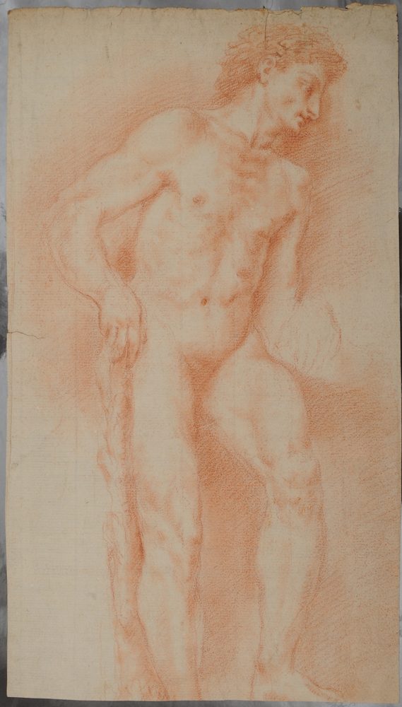 EUROPEAN SCHOOL: MALE NUDE Chalk on