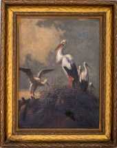 EUROPEAN 'STORK FAMILY PORTRAI