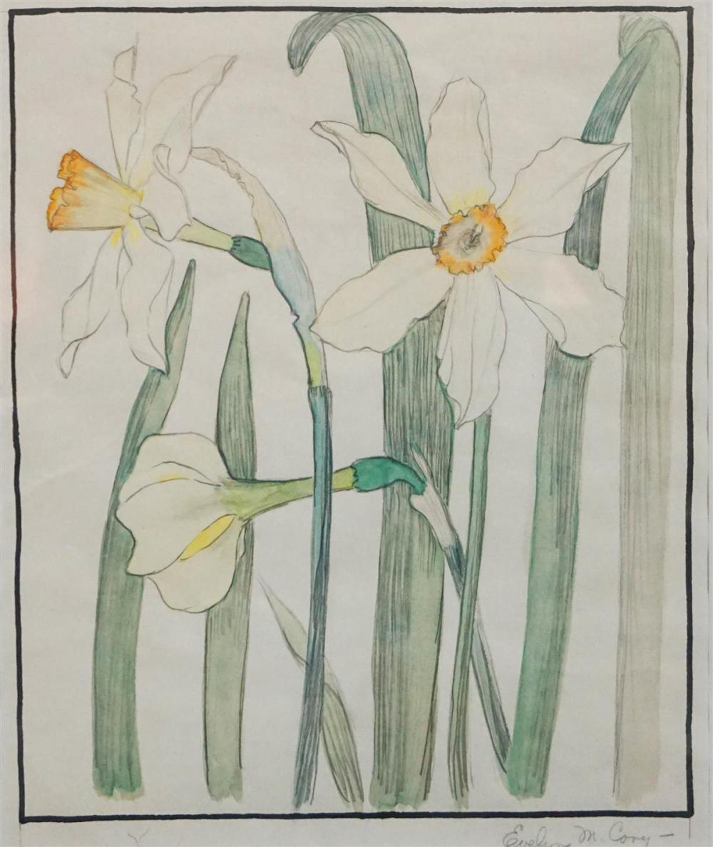 EVELYN CAREY WHITE DAFFODILS