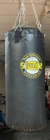 Everlast hanging punching bag.