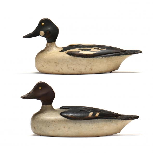 EXCEPTIONAL GOLDENEYE PAIR