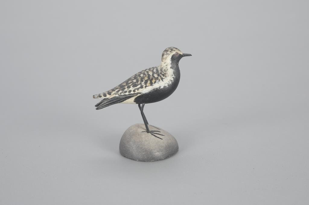 EXCEPTIONAL MINIATURE BLACK-BELLIED