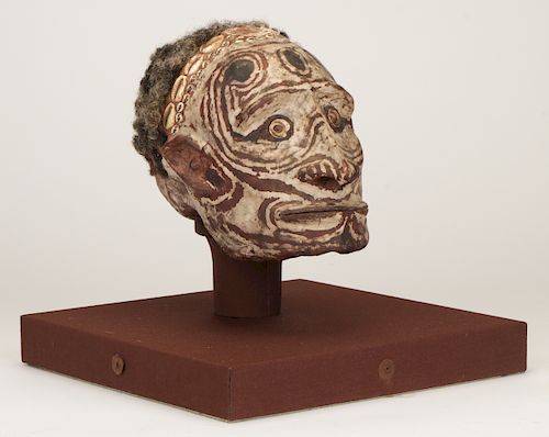 EXCEPTIONAL PNG SEPIK RIVER SKULL
