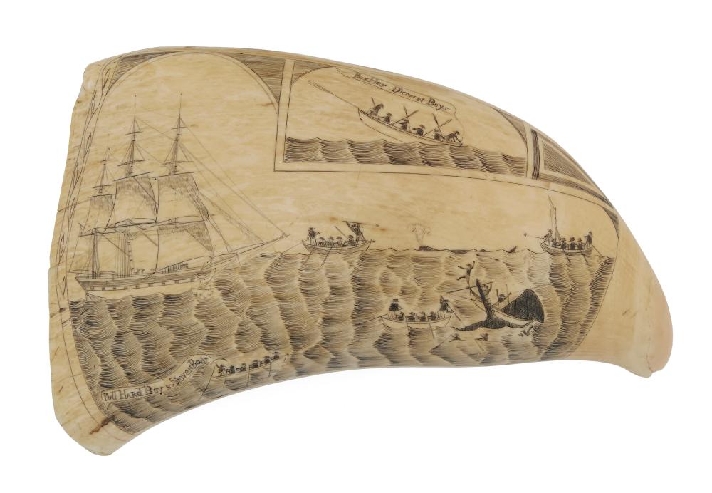 EXCEPTIONAL SCRIMSHAW WHALE'S TOOTH