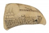 EXCEPTIONAL SCRIMSHAW WHALE'S