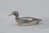 EXCEPTIONAL SWIMMING MERGANSER
