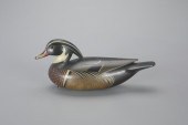 EXCEPTIONAL WOOD DUCKMark S. M