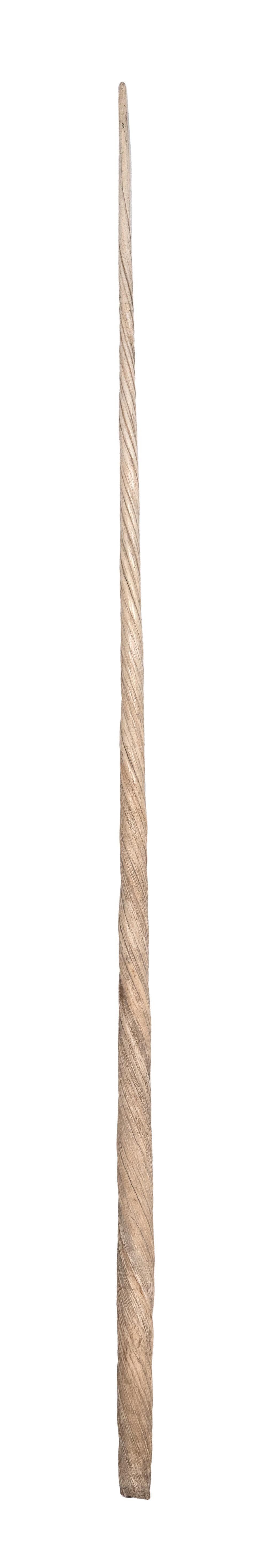 * EXTRAORDINARILY LONG NARWHAL TUSK