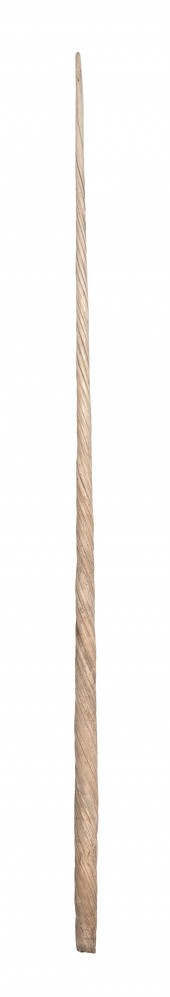 * EXTRAORDINARILY LONG NARWHAL