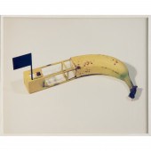 FABIAN MARCACCIO, CIBACHROME P