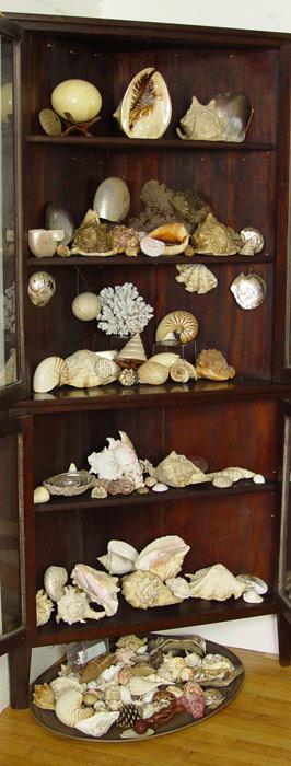 FABULOUS LIFETIME COLLECTION OF SEA