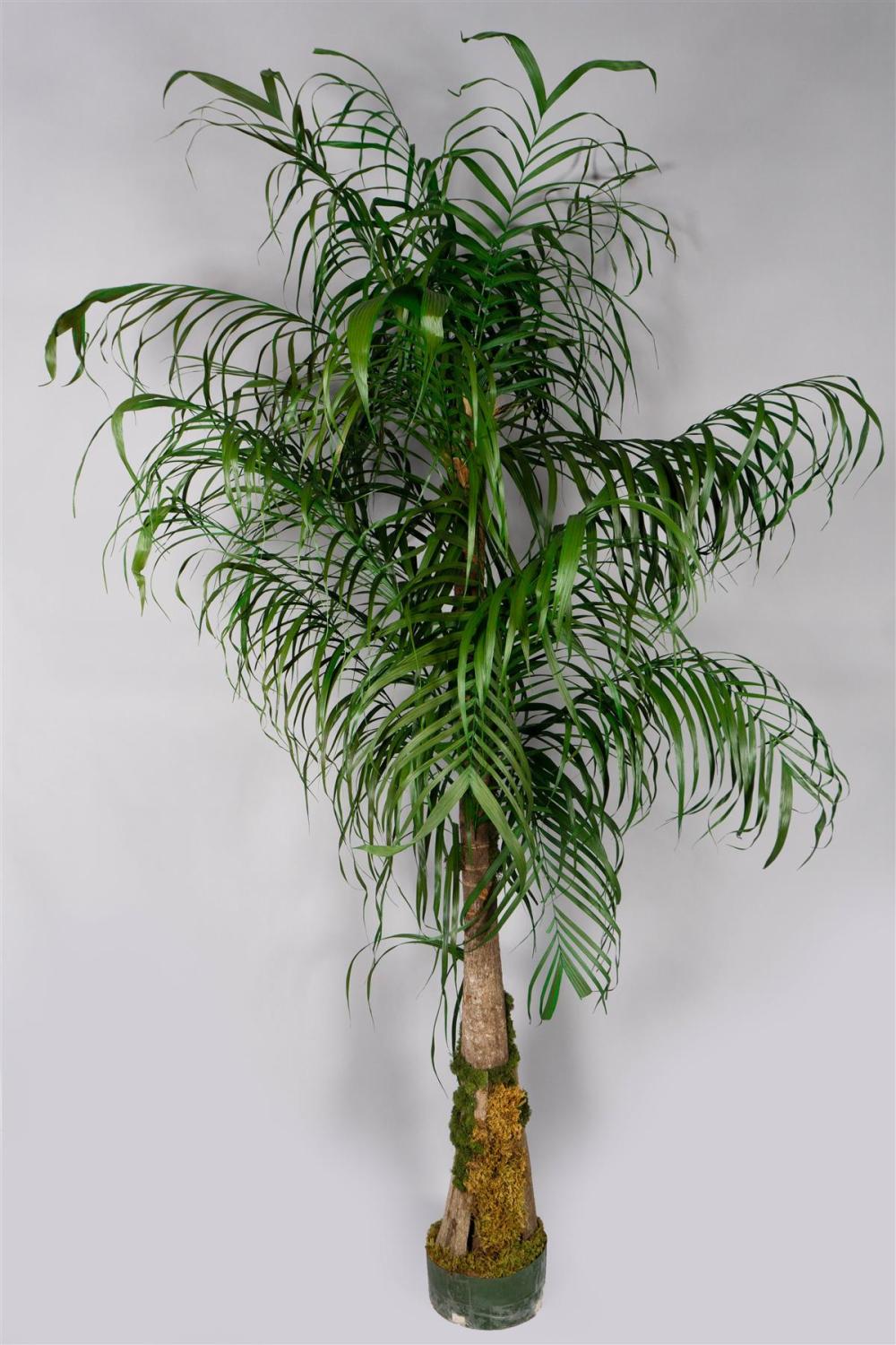 FAUX PALM TREEFAUX PALM TREE, h: 92