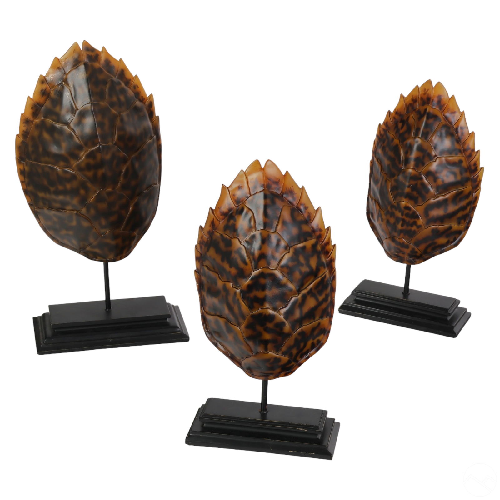 FAUX SEA TURTLE TORTOISE SHELLS
