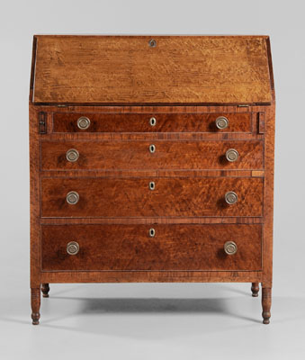 Federal Bird's-Eye Maple