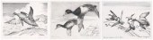 Federal duck stamp prints 1952