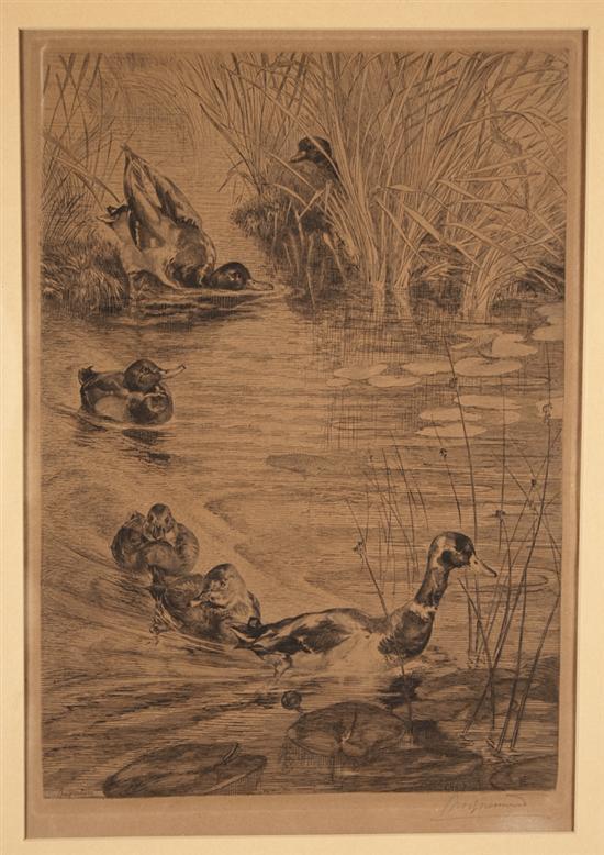 Felix Bracquemond (French,