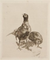 Felix Bracquemond (French 1833