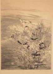 Felix Bracquemond (French, 183