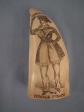 FEMALE PIRATE WHALE TOOTHScrim