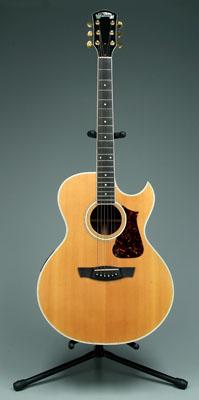 Fender acoustic/electric guitar,
