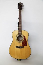 FENDER CLASSIC DESIGN SIX STRI