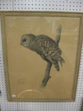 Fenwick Lansdowne Lithograph O