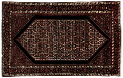 Ferahan Sarouk rug, intricate