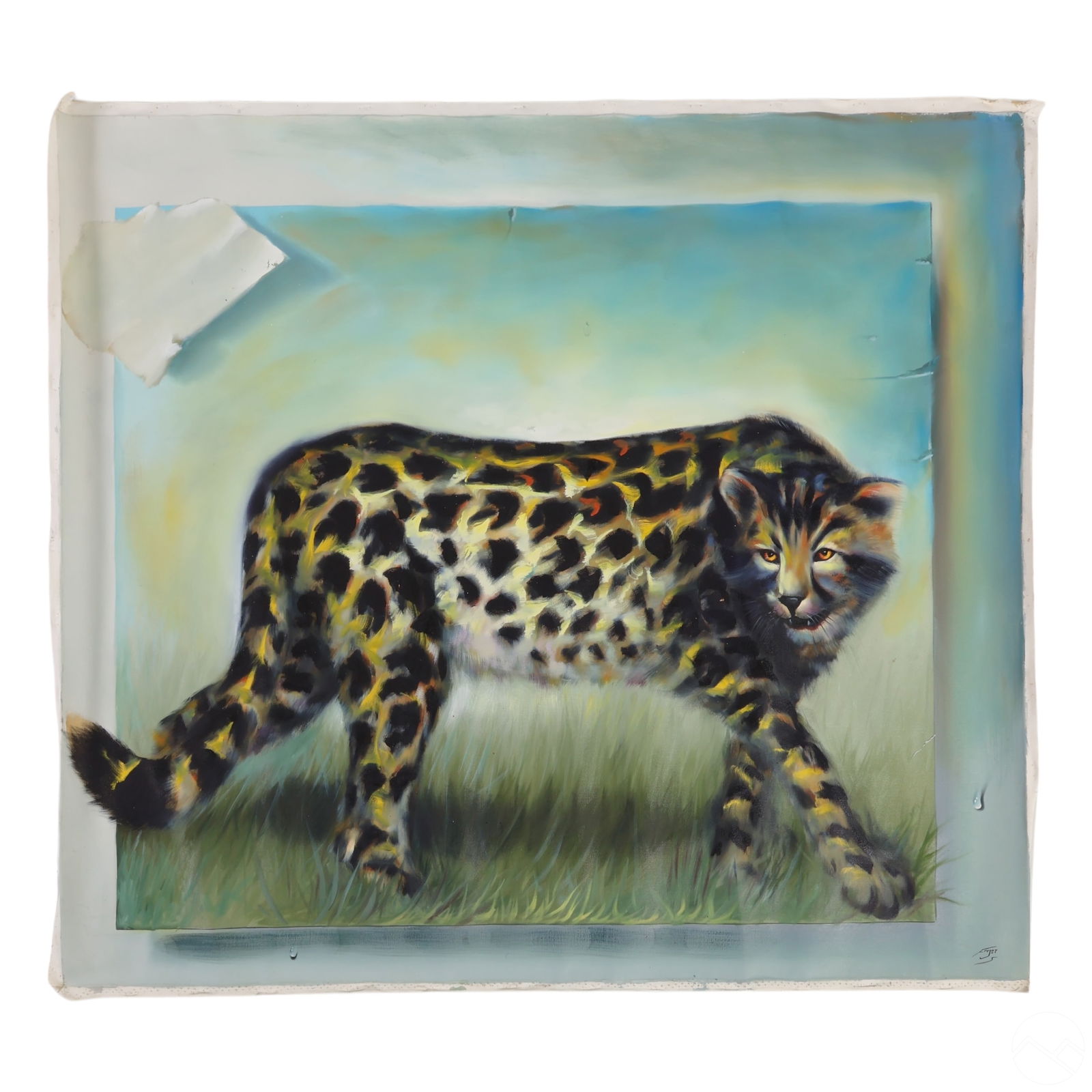 FERJO B.1946 CHEETAH ALONE