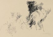 FERNANDO ZOBEL INK DRAWINGFern