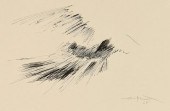 FERNANDO ZOBEL INK DRAWINGFern