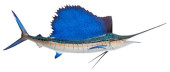 FIBERGLASS MARLIN, 1970S<br>Fi