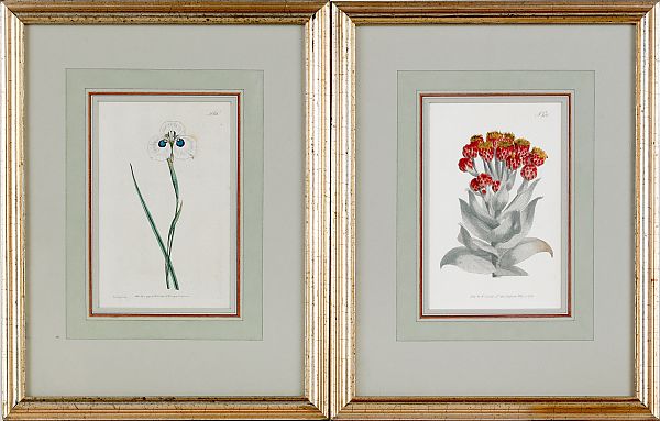 Fifteen assorted prints together