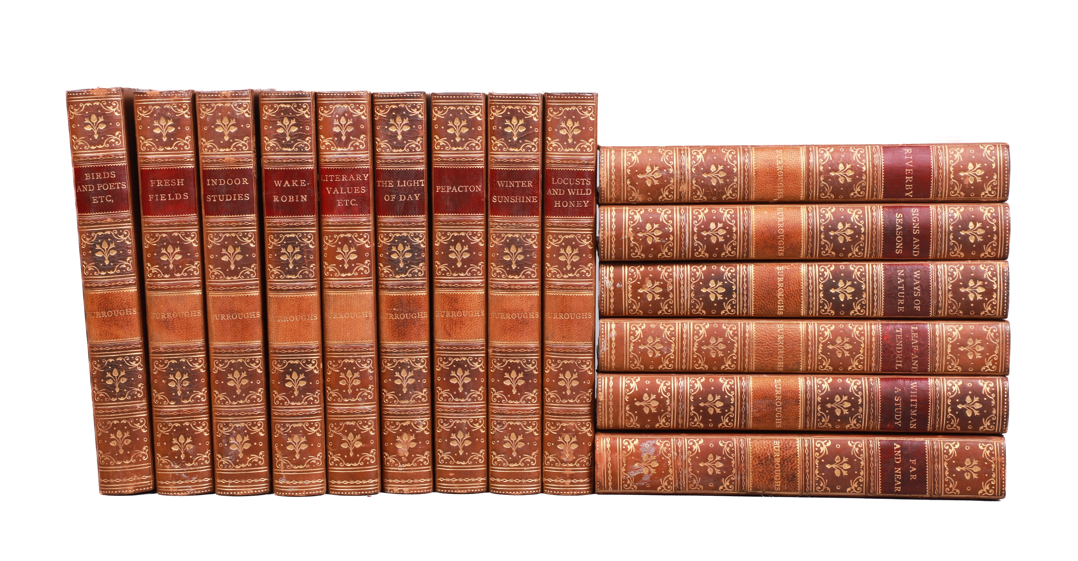 Fifteen books by famed naturalist