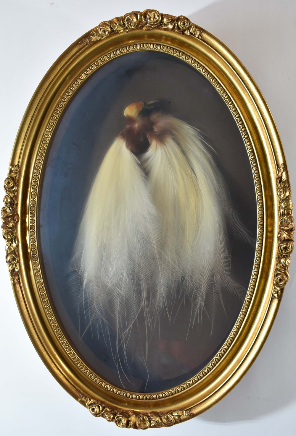 FINE AND RARE GREATER BIRD OF