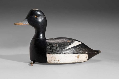 FINE BLUEBILL (SCAUP) DRAKE