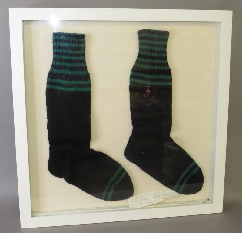 FINE CASE DISPLAY OF PAIR OF BLUE &