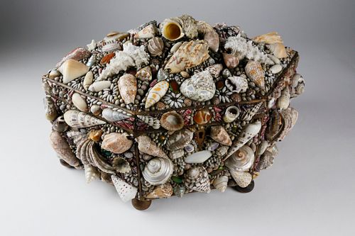 FINE DECORATIVE COQUILLAGE