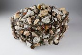 FINE DECORATIVE COQUILLAGE SHE