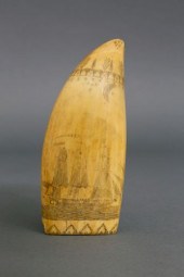 FINE DIMINUTIVE SCRIMSHAW SPER